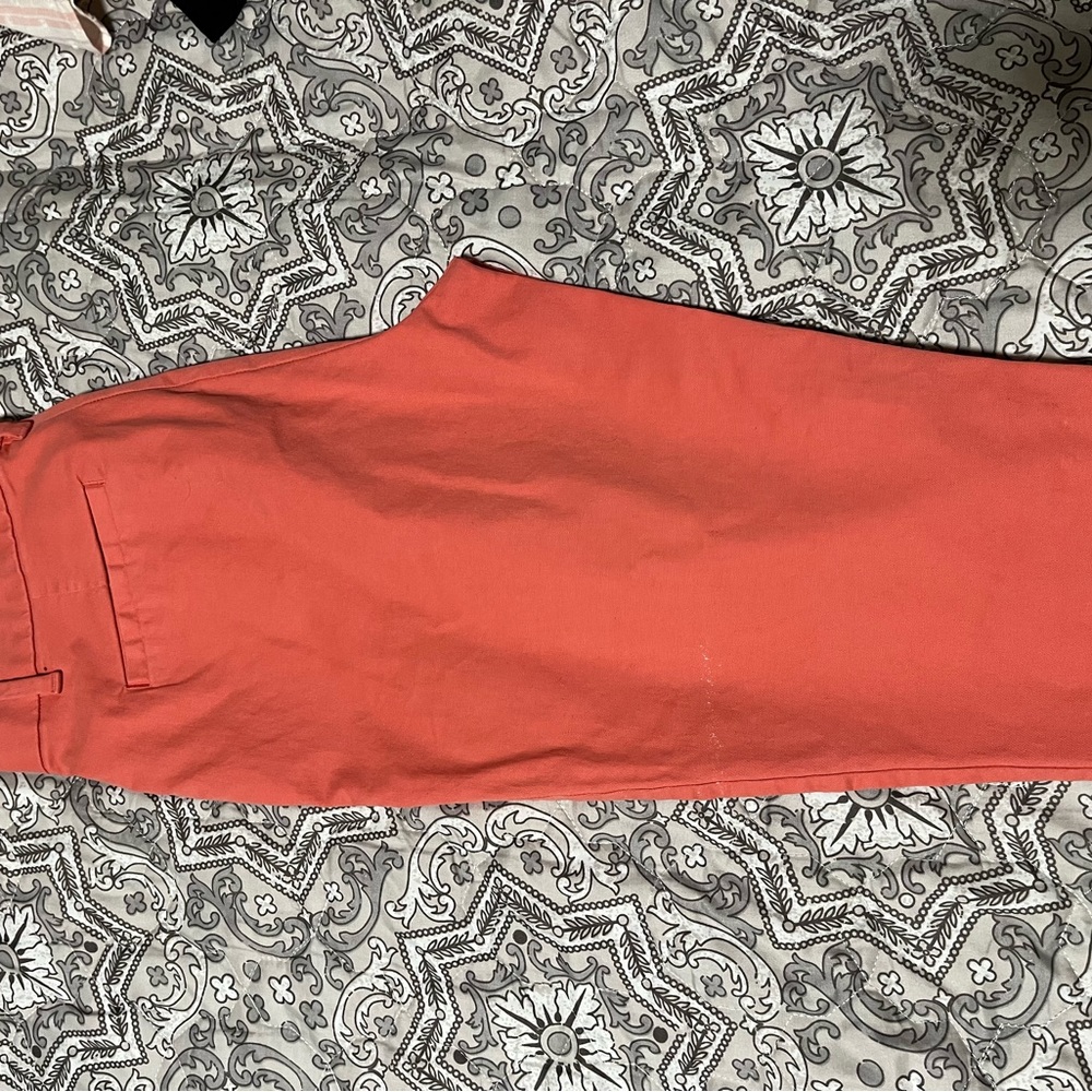 Size 8 coral pants